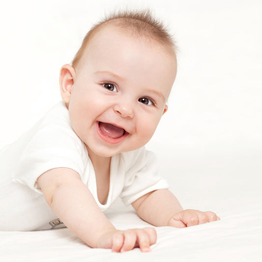 http://images.bambinilayette.com/Bambini_Retail_Logo.jpg