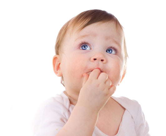 http://images.bambinilayette.com/Bambini_Retail_Logo.jpg